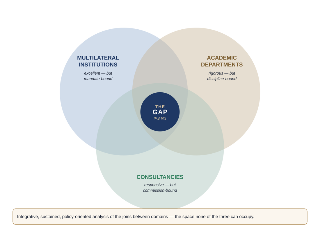 Diagram of three overlapping circles, multilateral institutions, academic departments and consultancies, with the gap the Institute fills at the centre
